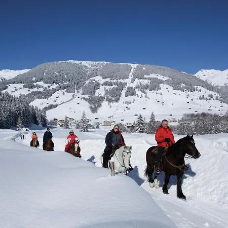 Schleicherhof 2 * Strass im Zillertal